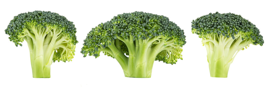 row of fresh broccoli isolated on white background