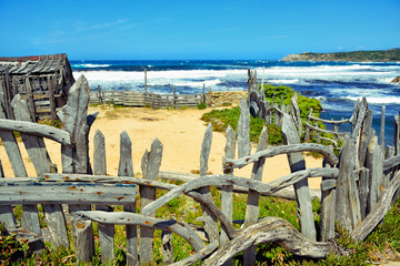 Beach. Picturesque view of the Mediterranean Sea, Sardinia (west
