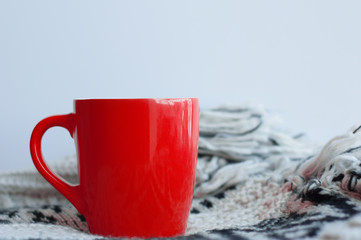 Red mug on white background