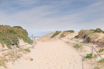 
walking on the beach



walking on the beach 