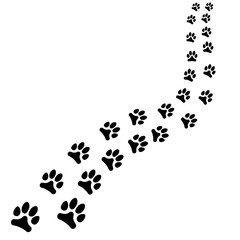 Fototapeta premium Path of animals black footprints, dog or cat path turns right on white background