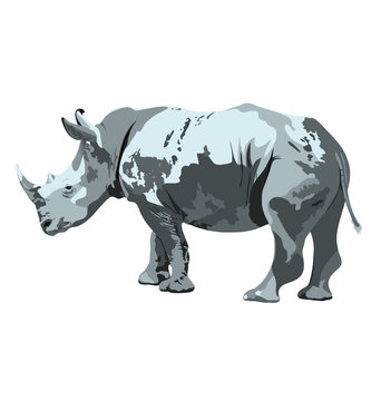 gray rhinoceros. vector isolated image