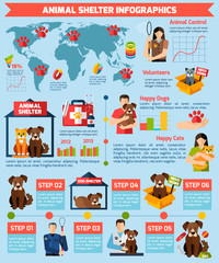 Animal shelter infographics