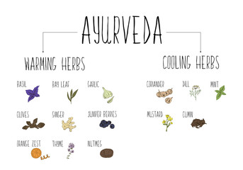 Hand-sketched collection of elements of Ayurvedic spices in our kitchen. Warming and cooling Herbs and supplements Ayurveda. - obrazy, fototapety, plakaty