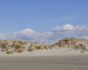 Zonnige Hollandse duinen