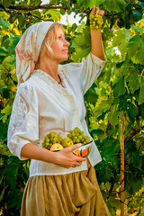 a girl peasant gathering fruit in the countryside on a hot summer day 