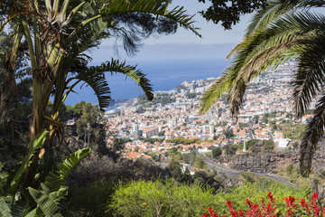 Fototapeta na wymiar Aerial view of Funchal, capital city of Madeira Island, Portugal