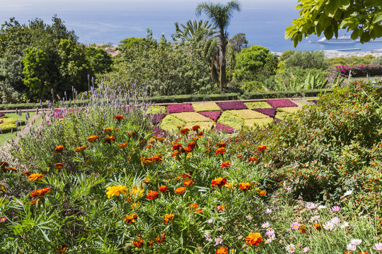 Famous Tropical Botanical Gardens in Funchal town, Madeira islan