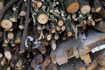 Background of pile of wood