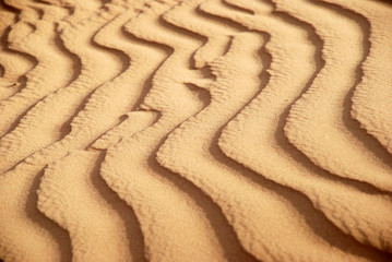 Sand Wave Pattern