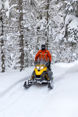 Athlete on a snowmobile.