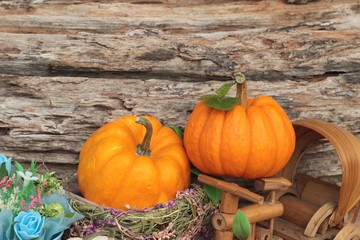 Pumpkin fancy on wood background.