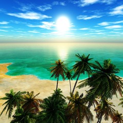 Fototapeta na wymiar tropical beach with coconut palms on the beach, tropical island