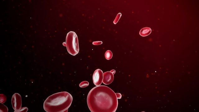 Blood Cells