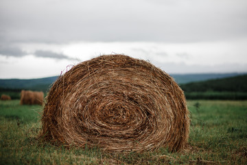Rolls of haystack on the field. A cloudy scenery with haystack 