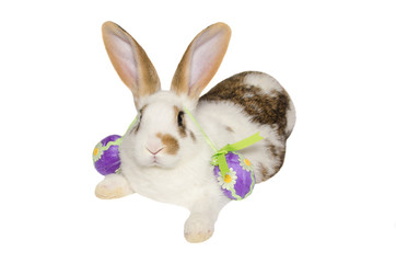 Coniglietto con uova pasquali