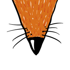 nose of red fox