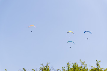 Multiple paragliders with their parachutes on a sunny day near city of Koktebel in the Crimea, Ukraine