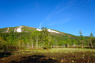 Ozegahara and Mt. Shibutsu in early summer in Gunma, Japan