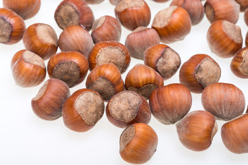 Pile of hazelnuts isolated on white background