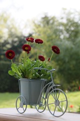 Dekoration mit Blumen