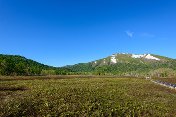 Fototapeta na wymiar Ozegahara and Mt. Shibutsu in early summer in Gunma, Japan