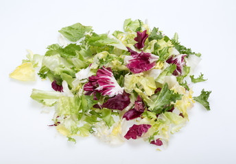  Green and red leaf of lettuce . Isolated on a white background