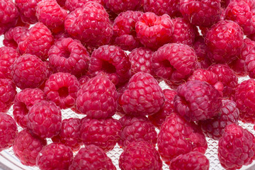 A beautiful selection of freshly picked ripe red raspberries.