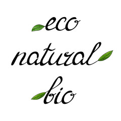Handwritten words eco, bio, natural 