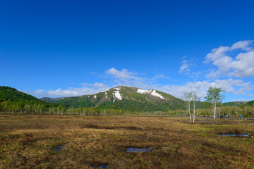 Ozegahara and Mt. Shibutsu in early summer in Gunma, Japan