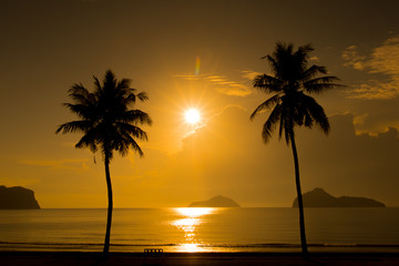 Two palm trees silhouette on sunset tropical beach