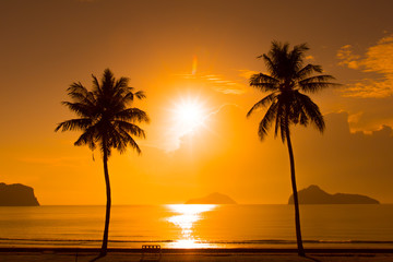 Naklejka na ściany i meble Two palm trees silhouette on sunset tropical beach