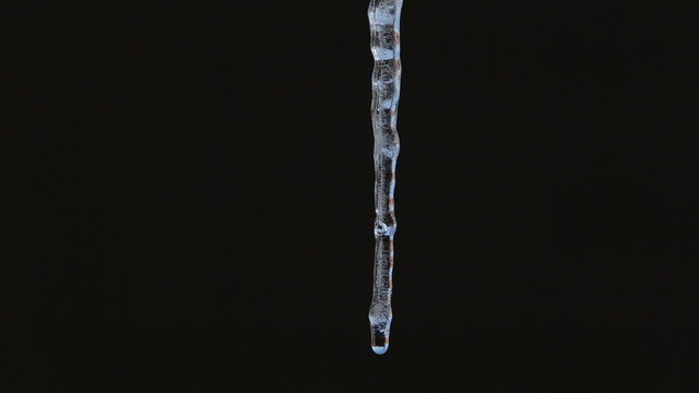 Close up of single clear thick icicle hanging down over isolated black background
