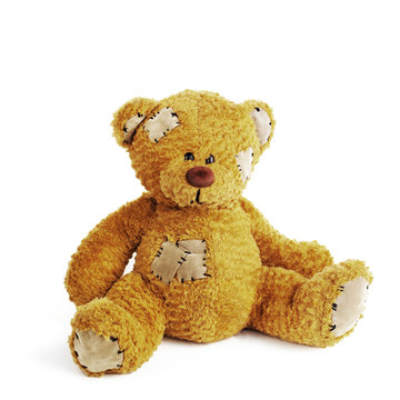  teddy bear  isolated  white background