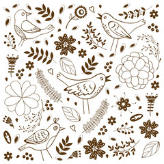 Elegant pattern with birds and flowers