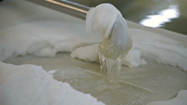 The addition of the starter during cheese production