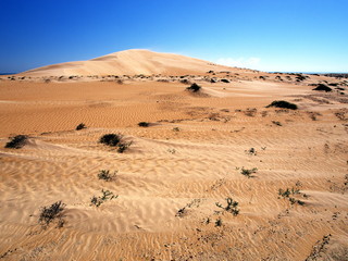 Omani desert between Shannah and Ash Ashkharah