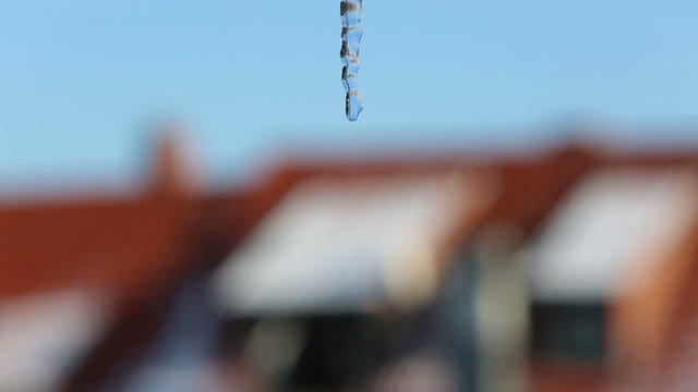Close up of single clear thick icicle hanging down over isolated blue background