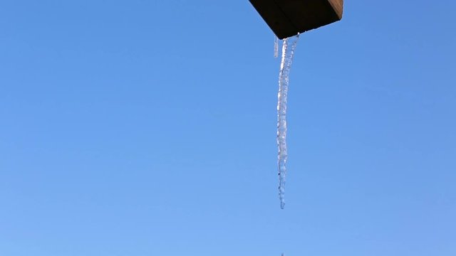 Close up of an Icicle Behind a Blue Isolated Background