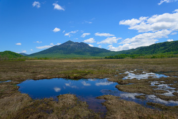 Ozegahara and Mt. Hiuchigatake in early summer in Gunma, Japan