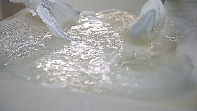 The addition of the starter during cheese production