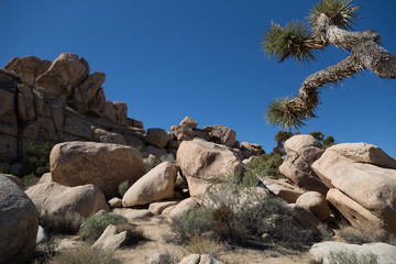 Big Rocks in the National Park