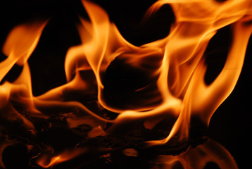 Fire flames on a black background