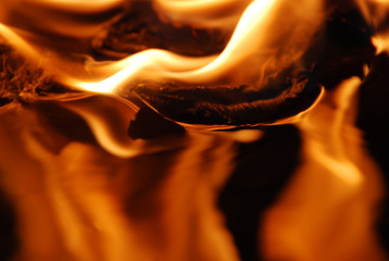 Fire flames on a black background