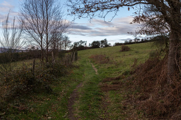 Early one morning on the Camino Primitivo in Spain, world heritage