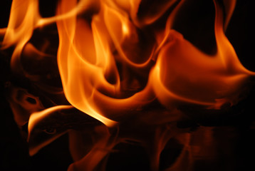 Fire flames on a black background