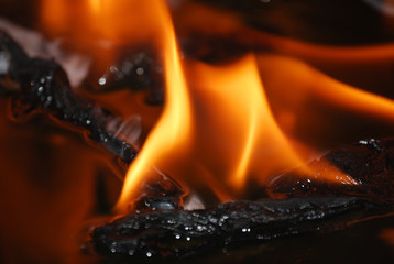 Fire flames on a black background