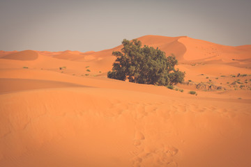 Sand Dunes in the Sahara Desert, Merzouga, Morocco