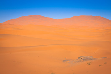 Sand Dunes in the Sahara Desert, Merzouga, Morocco