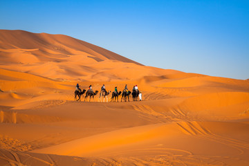 Caravane de chameaux traversant les dunes de sable du désert du Sahara,